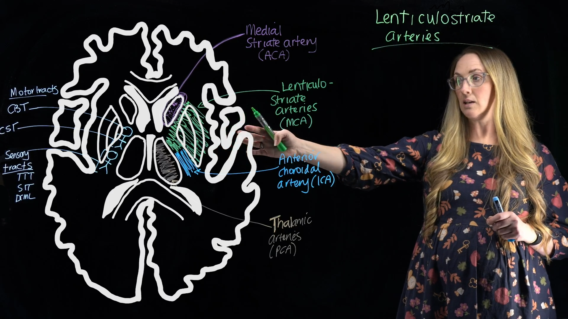 Jess Nealon demonstrating the lightboard